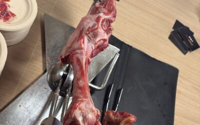 Cómo conservar un jamón empezado: Guía para que no se seque