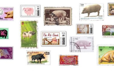 Sellos del mundo con cosa algo en común: el cerdo